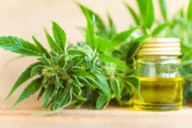 However, the cannabis plant has so many different applications that. Understanding The Difference Between Cbd Oil And Hemp Oil Cbd Vape 4 U Blog News About Cbd Vape Products