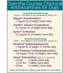 Over The Counter Antihistamines Just Might Be Your Dog S New Best Friend Happy Dog Naturals Dog Allergies Dog Itching Remedies Dog Medicine