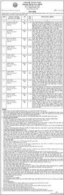 Ministry of food job circular offer some new vacancy at dgfood.gov.bd. Ministry Food Job Circular Admit Card 2020 Dgfood Gov Bd