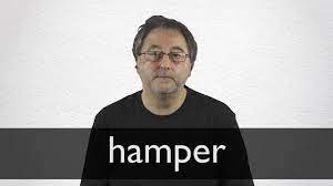 Hamper add to list share. Hamper Definition Und Bedeutung Collins Worterbuch