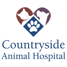 Make managing your clinic a breeze by eliminating paperwork. Tempe Animal Hospital