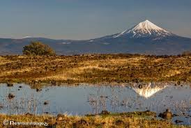 Pin On Travel Usa Oregon California Washington Nevada Utah