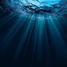 Image result for sea