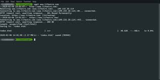 Chromebooks are great at so many things. How To Download Web Pages And Files Using Wget