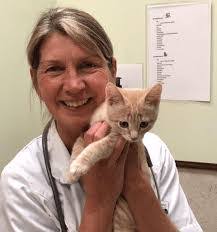 Annette Fleming's Instagram, Twitter & Facebook