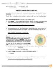 Student exploration meiosis gizmo answer key teaches us to manage the response triggered by various things. Meiosis Gizmo Student Sheet Docx Name Dhruti Pachalla Date Student Exploration Meiosis Vocabulary Anaphase Chromosome Crossover Cytokinesis Diploid Course Hero