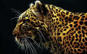 Polish your personal project or design with these rap transparent png images, make it even more personalized and more attractive. Leopard Hd Wallpaper Background Image 1920x1200 Id 66550 Wallpaper Abyss