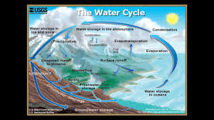 And all those who oppose. Water Cycle Song Youtube