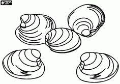 Select from 35870 printable crafts of cartoons, nature, animals, bible and many more. 46 Seashore Images Ideas Coloring Pages Sea Shells Ocean Coloring Pages