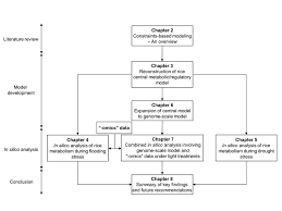 4 Flow Chart Showing The Organization Of Thesis And The