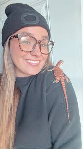 Adopting a bearded dragon pet