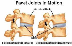 Symptoms Treatment Of Facet Joint Pain