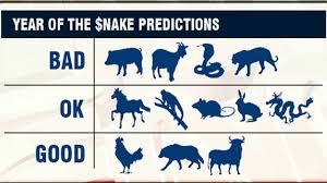 Image result for Year of the Snake"