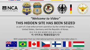 Dark web: Largest ever online child porn bust leads to 337 arrests |  Euronews