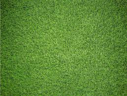 We did not find results for: All Jigsaw Puzzles Impuzzible Natural Grass 1000 Piece Jigsaw Puzzle Buy Online In United Arab Emirates At Desertcart Ae Productid 62313010