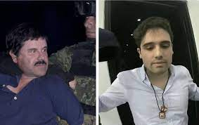 Cuántos hermanos tiene Ovidio Guzmán y quiénes están libres? | El Informador