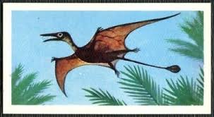 27 Rhamphorhynchus Di 2020