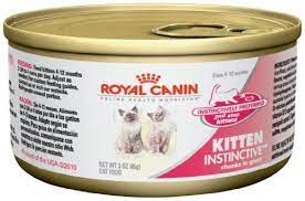 Robot Check Dry Cat Food Cat Food Cat Food Brands