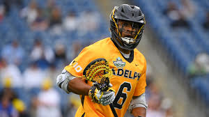 Image result for Disperis sp. nov. aff. macowanii