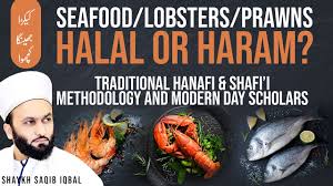 In this video, i am going to discuss halal and haram sea foods in islam | list of halal seafood including crab lobster crocodile octopus and fish. Seafood Ú©ÛŒÚ©Ú'Ø§ Ø¬Ú¾ÛŒÙ†Ú¯Ø§ Lobsters Prawns Halal Or Haram Shaykh Saqib Iqbal Youtube