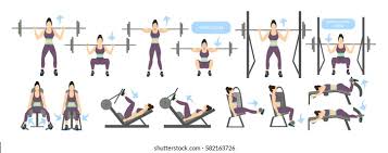 The chest press machine is probably the most famous piece of gym equipment. Legs Workout Women Machines All Kinds Stock Vector Royalty Free 582163726