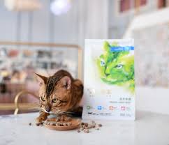 Frozen vegetable , dried mushroom , fd fruits and vegetables. Pin On Cat Product