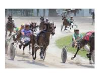 Harness Racing
