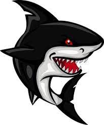 Angry Shark Cartoon Shark Art Shark Pictures Shark