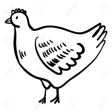 Vector Illustration With Doodle Cute Hen Domestic Doodle Bird Royalty Free Cliparts Vectors And Stock Illustration Image 56188131 Chixken cool doodle funny tone. vector illustration with doodle cute hen domestic doodle bird