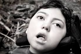 The Kings: Welcome to Holland