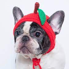 Cute Apple Costume Dog Snood Hat For Frenchies Zhivotnye
