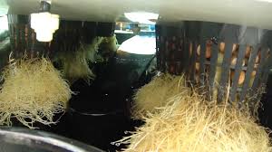 This aeroponic system is more like hydroponic system, which you can build under $30. Food Safe High Pressure Aeroponics Only 649 Treefrog By Multiponics Youtube