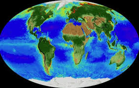 Pe planeta pământ există mii de fenomene și ciudățenii care stârnesc curiozitatea. Planeta PÄƒmant Earth Seasons Earth Planets