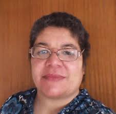 Introducing DLM Techniques for a Multi-Database Multi-Server System