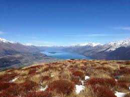 Neuseeland tipps und nützliches, das du vor einer neuseeland reise wissen musst. Neuseeland Wie Ist Das Land Eigentlich Work And Travel Neuseeland Organisieren