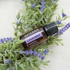 As mentioned above, lavender water is used for hair to cleanse and fortify. Lavender Oil Uses And Benefits DÅterra Essential Oils