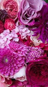 Summer flowers backgrounds for desktop wallpaper 1600 x 1200 px 576.92 kb tumblr flowers sunset for iphone. Free Floral Phone Wallpapers Summer Collection Flower Phone Wallpaper Flower Wallpaper Beautiful Flowers