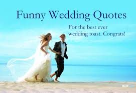 68 funny wedding anniversary wishes. Quotes About Funny Wedding 32 Quotes