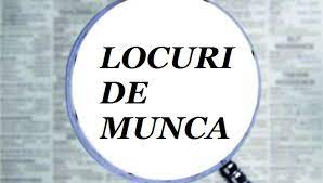 Nu solicitam experienta in domeniu. Locuri De MuncÄ Pentru Bugetari BacÄu BotoÈani IaÈi NeamÈ Suceava Vaslui Actualitate