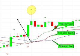 How To Trade Bill Williams Fractals A Fractal Trading Strategy