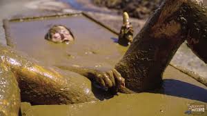 40 % end of the month sale ending soon