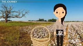 Image result for how has rose of sharon changed in the course of the story?