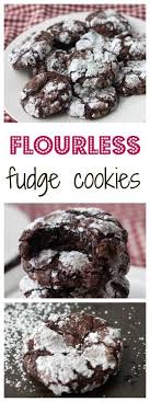 Flourless Fudge Cookies Http Www Bostongirlbakes Com 2015 01 02 Flourless Fudge Cookies Fudge Cookies Low Calorie Cookies Flourless Desserts
