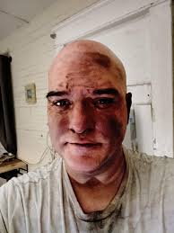 Cats saving the day again, making me smile