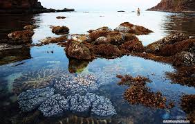 The district covers an area of 120 km². 8 Bai Biá»n Ä'áº¹p Nháº¥t á» Phu Yen Hiá»n Nay Nháº¥t Ä'á»nh Pháº£i Ghe Qua