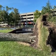 Deadline to settle insurance claims is now from August 2020 derecho