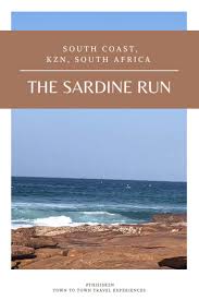 Pin By Town To Town On Africa Travel Books In 2020 Africa Travel Travel Experience Travel Book