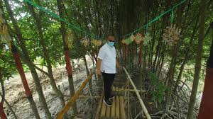 Cosas que hacer cerca de hutan bambu dan taman sakura keputih sukolilo. Ini Konsep Akhyar Nasution Untuk Kembangkan Daerah Pesisir Medan Metro Medanbisnisdaily Com