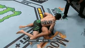 Brandon carrillo moreno is a mexican professional mixed martial artist who currently competes in the flyweight division of the ultimate fighting championship, where he is the reigning ufc flyweight. Graphic Brandon Moreno Tko Brandon Royval Royval S Dislocated Arm Gifs Sherdog Forums Ufc Mma Boxing Discussion