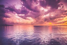 Check spelling or type a new query. Purple Sunset Pictures Hq Download Free Images On Unsplash